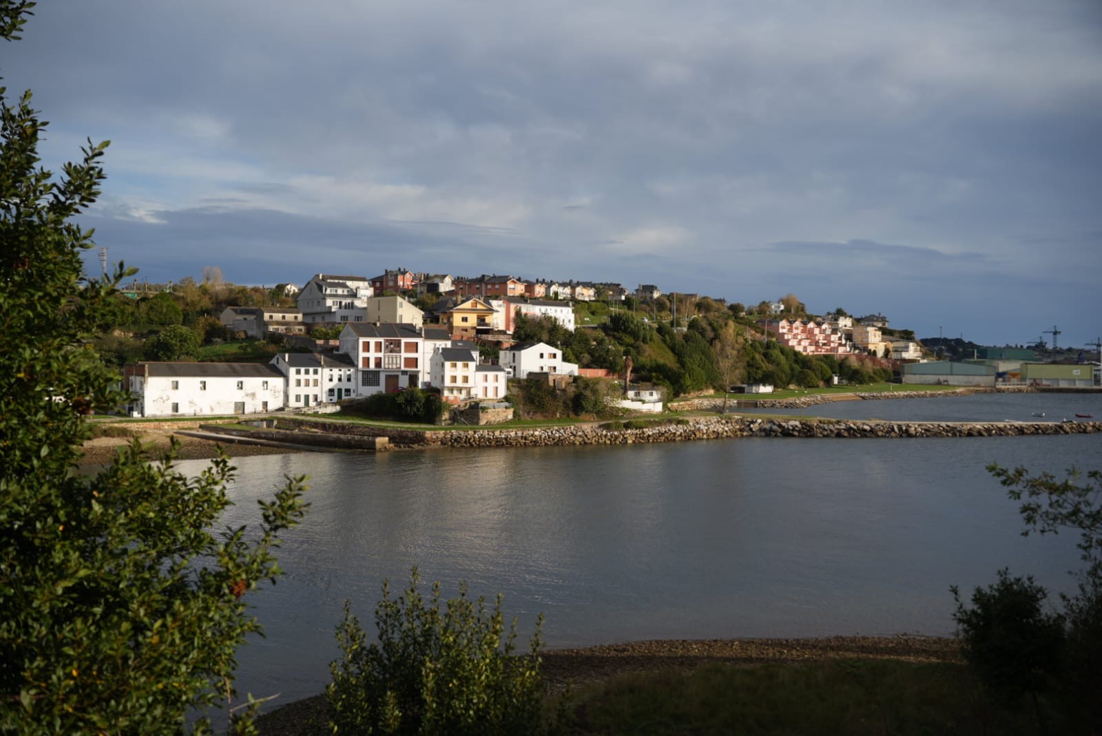 b241735d-ab7e-4450-a880-49f8b737b362